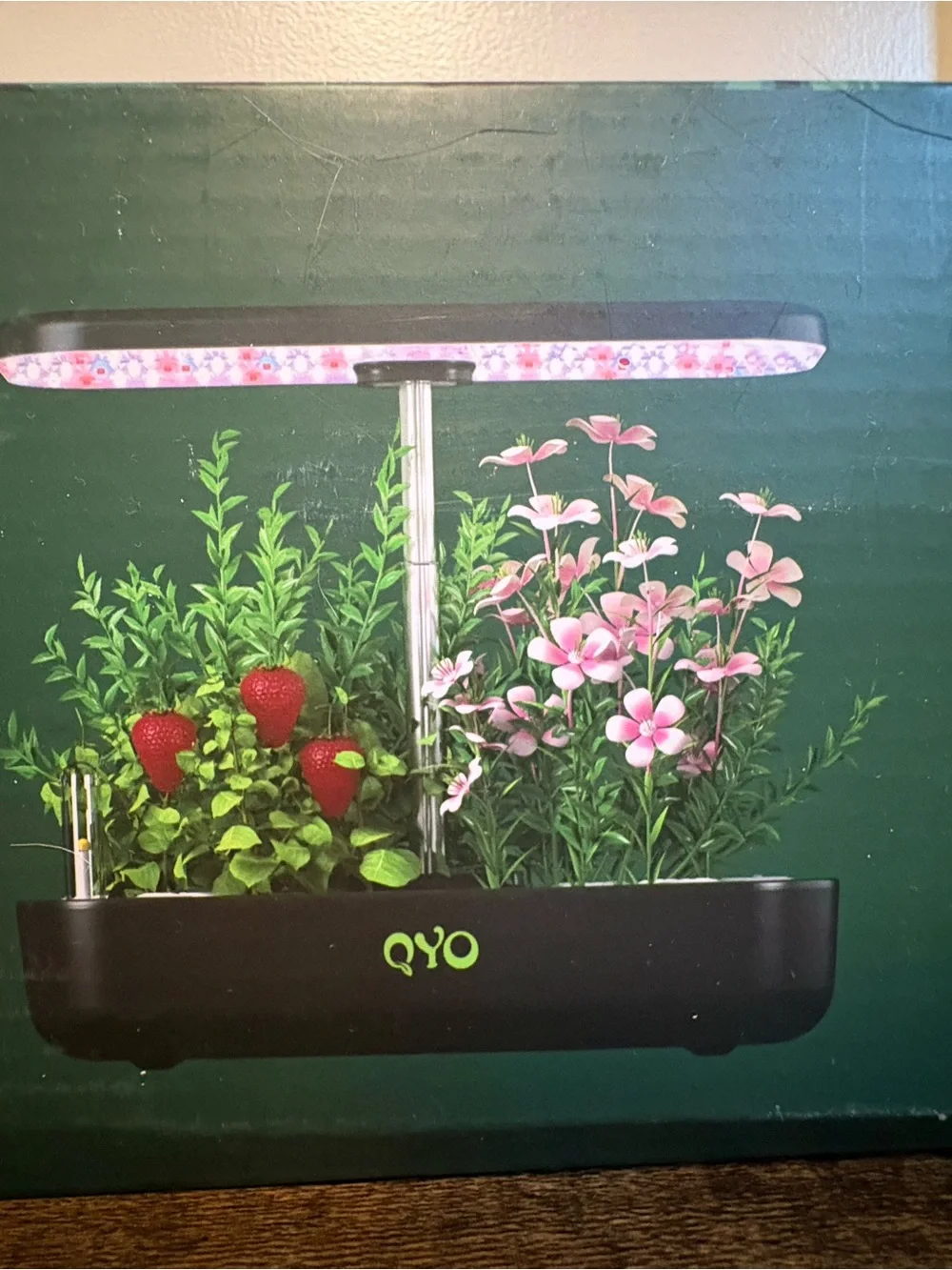 QYO indoor herb